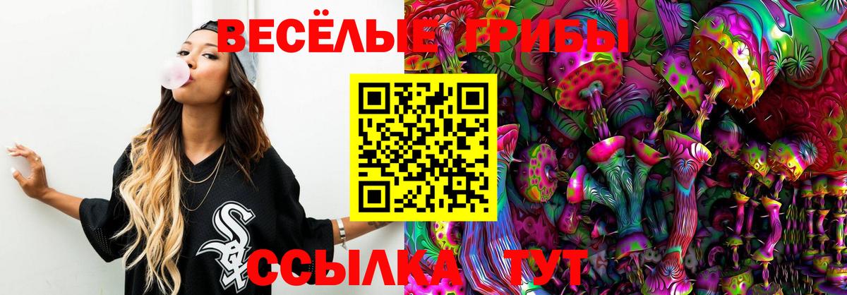 Псилоцибиновые грибы Magic Shrooms Долгопрудный