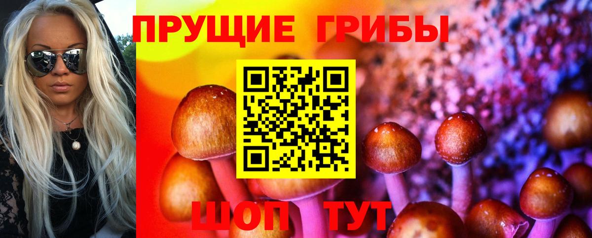 Псилоцибиновые грибы ЛСД  Вход с VPN  Долгопрудный 